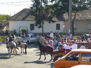 Kép